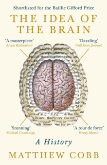 the idea of the brain