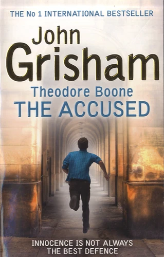 Theodore Boone 3 : The Accused