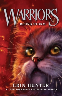 Warriors 4 : Rising Storm