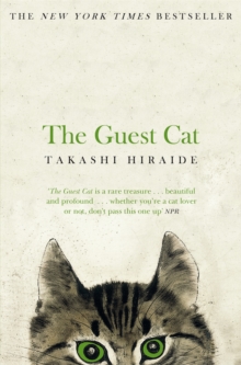 [9781447279402] The Guest Cat